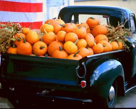 Pumpkin Truck