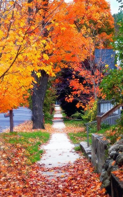 Sidewalk with Leaves