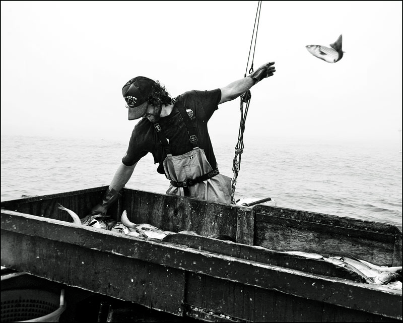 Award-Winning Photo Essay  The Last Trap Fishermen of Rhode Island - New  England
