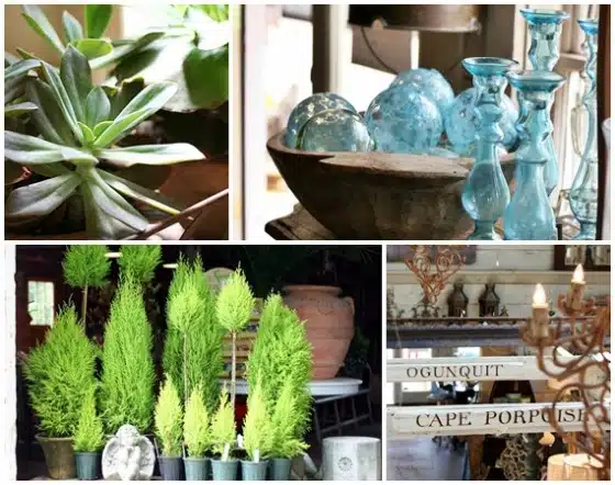 A collage showing various scenes: a close-up of a succulent plant, blue glass ornaments, small potted evergreen trees, and vintage-style signs indicating "Ogunquit" and "Cape Porpoise.