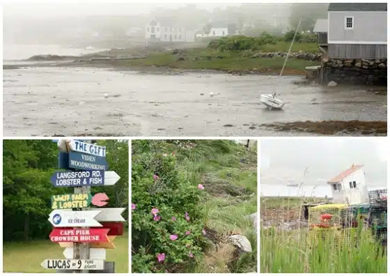 A collage of coastal scenes: a misty shoreline with a sailboat, a colorful signpost, wildflowers in a field, and a house with fishing gear.