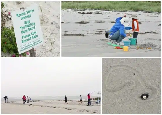 A beach scene with a storm damage warning sign, several people gathering around digging tools and buckets, a group of people walking, and a small shell on the sand near a swirl pattern.