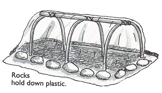 Plastic-Covered Greenhouse