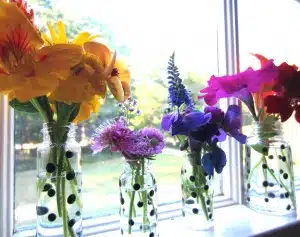 Four glass jars with black dots, each holding different colorful flowers, are lined up on a windowsill with sunlight streaming through.
