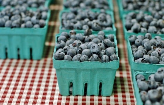blueberries-checkerboard-560&#215;359