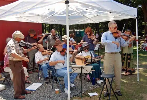 A group of people under a white canopy is playing various string instruments, including violins and guitars, outdoors on a sunny day.
