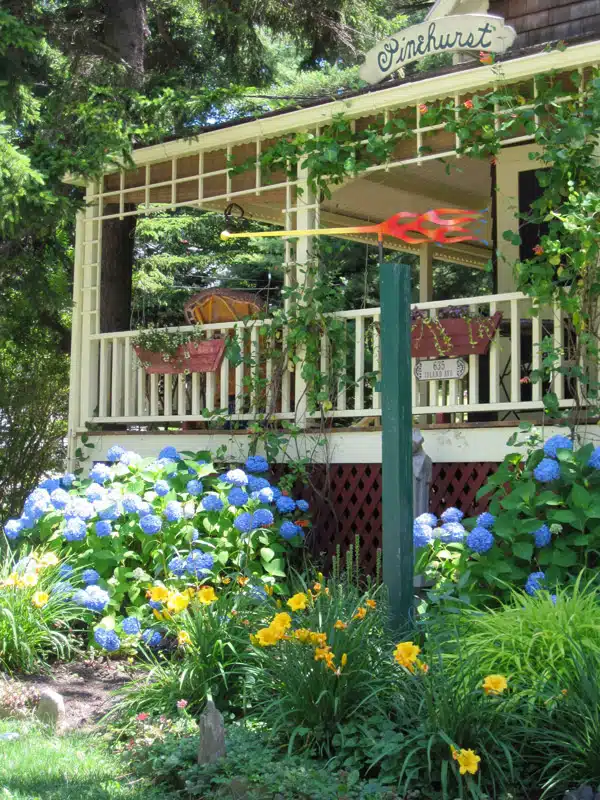 A porch with a sign reading "Pinehurst" surrounded by lush greenery, blooming hydrangeas, and daylilies. The railings are decorated with hanging pots.