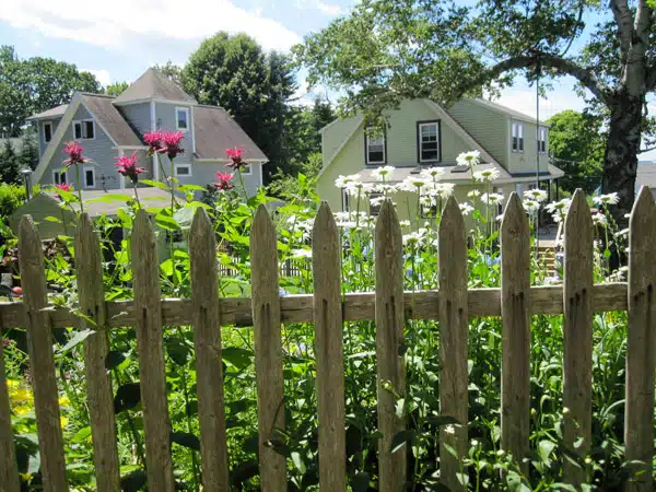 A wooden picket fence with wildflowers in front of it, two houses, trees, and a clear sky in the background.