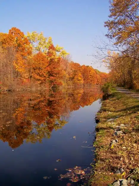 A calm river bordered by trees with vibrant autumn foliage on a clear day, reflecting the colorful leaves in the water. A path runs along the right side of the river.