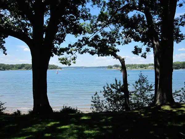 View of a lake framed by two large trees, with a boat visible in the water and forested shoreline in the background.