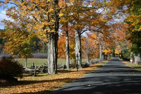 Country Road In Norfolk, Ct