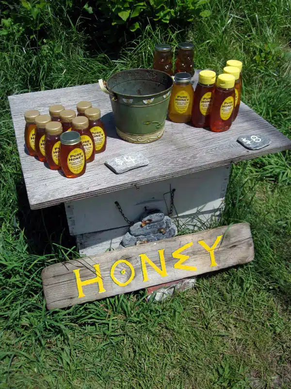A small outdoor stand displaying multiple jars of honey on a wooden surface, accompanied by a metal pail and two stones, with a handmade sign reading "HONEY.