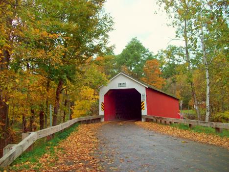 Covered Bridge Lined With Leaves In Vt