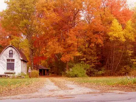 Tourtelot Road In Glocester, Ri