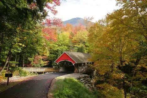 Flume Covered Bridge In Franconia Notch, Nh