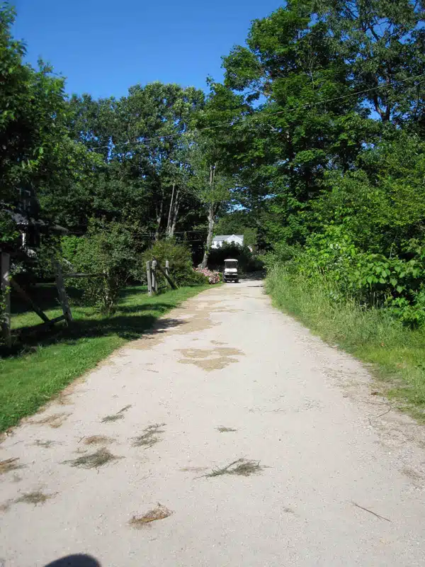 A dirt path lined with greenery leading to a distant white house with a car parked nearby under a blue sky.