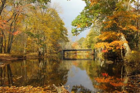 The Willimantic River In Storrs, Ct