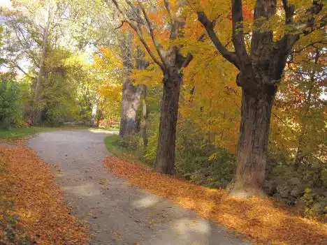 A Country Lane In Essex, Ma