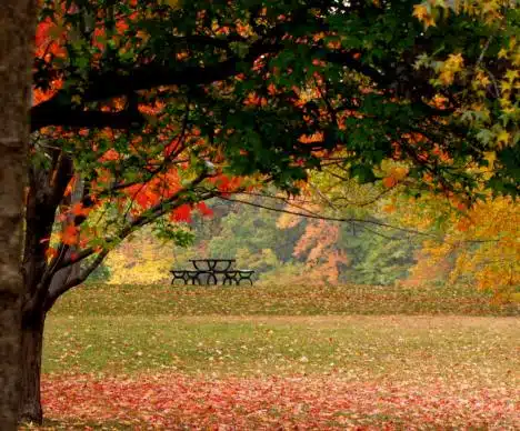 Roger Williams Park In Providence, Ri