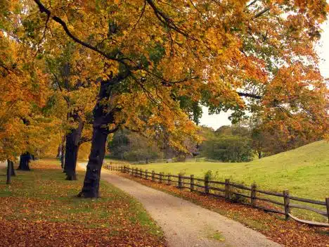 Colorful Road On Martha's Vineyard