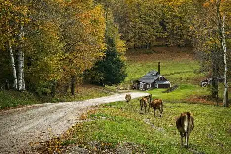 Heading Home In Reading, Vt