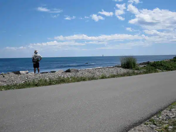 A person stands on a rocky beach under a clear blue sky, looking out over the ocean. A paved road runs along the foreground.