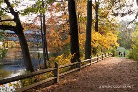 Path By Covered Bridge In Henniker, Nh