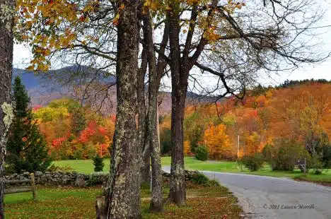Along Mountain Road at the base of Mt. Mansfield