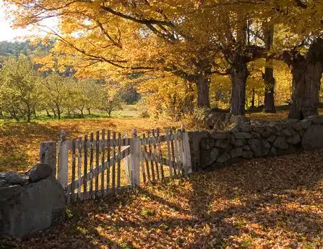 Old Orchard Gate In Hillsborough, Nh
