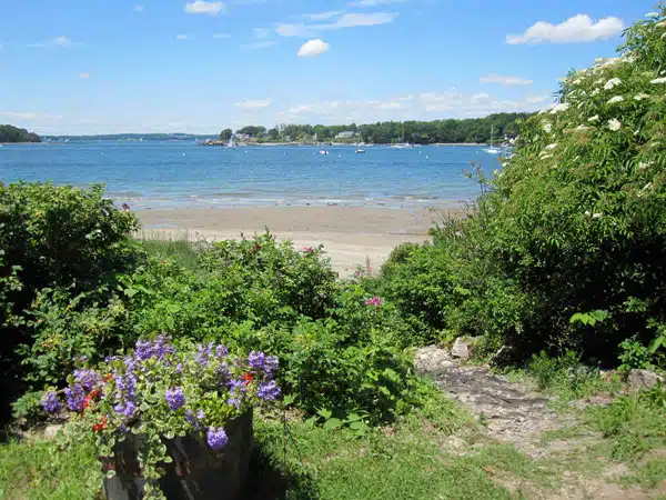 Pathway surrounded by greenery and flowers leads to a sandy beach with a view of the ocean and distant boats under a blue sky.