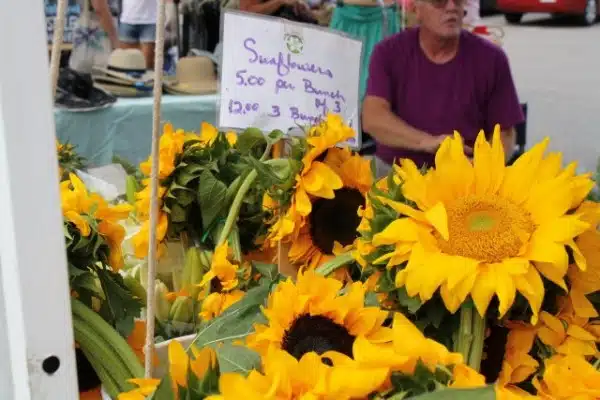 A market stall selling sunflowers with a sign that reads "Sunflowers 5.00 per Bunch of 3, 12.00 3 Bunches." Sunflowers are arranged in front, and a person in a purple shirt is seated in the background.