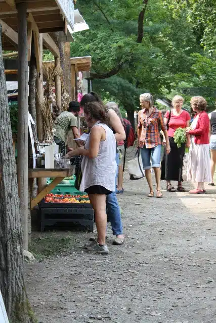 People are browsing and purchasing items at an outdoor market. Some stand at vendor booths while others walk on a dirt path between tall trees.
