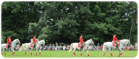 entrance-cropped-horses