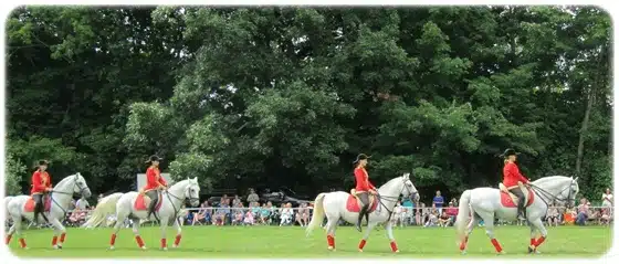 Four riders in red uniforms perform a synchronized equestrian routine on white horses in an open field, with a crowd watching from the background.