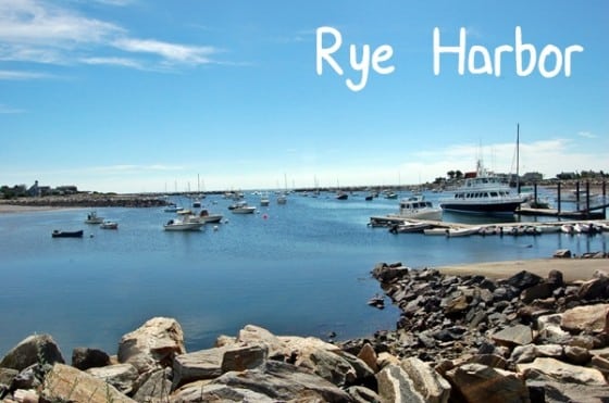 star-island-rye-harbor-text-560x371