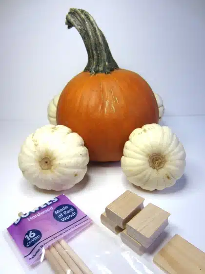 Gathering materials to make a pumpkin coach