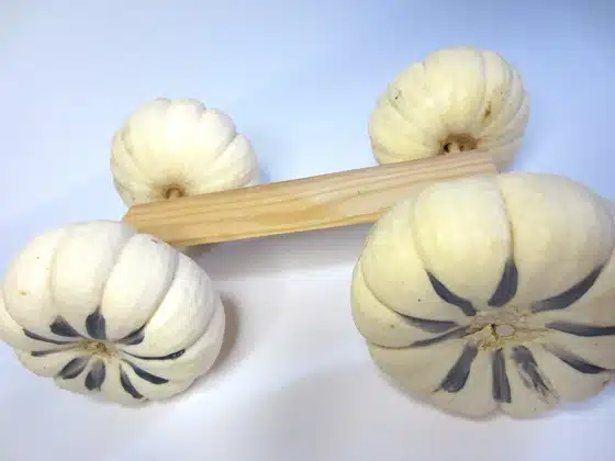The pumpkin coach frame