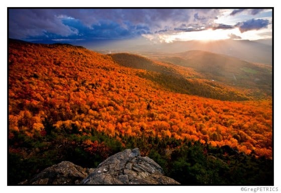 Vermont Foliage - Greg Petrics