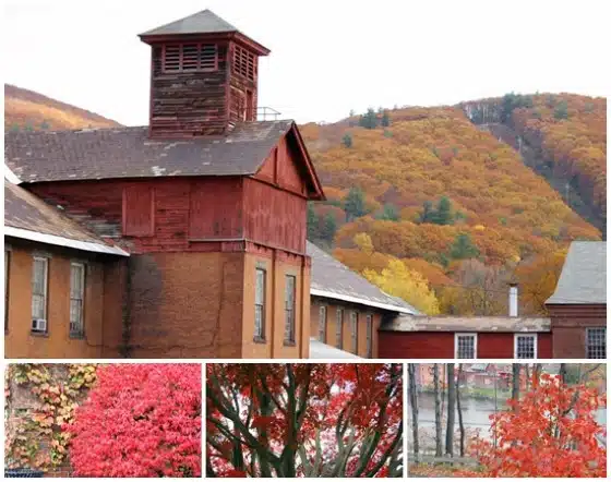 Shelburne Falls Foliage
