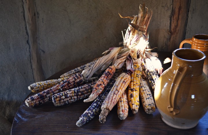 what-did-the-pilgrims-eat-at-the-first-thanksgiving-new-england-today