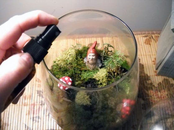 Mini Terrarium