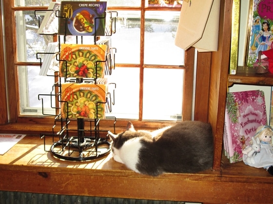 Rosemary the cat enjoys a sunny window at Pickity Place in Mason, NH.