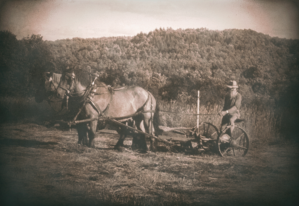 I Will Not Leave | Romaine Tenney Loved His Vermont Farm To Death