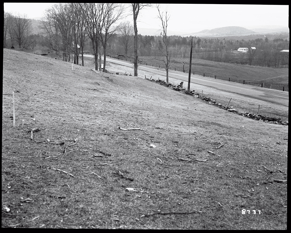Grassy hillside with bare trees beside a rural road, with distant farm buildings and hills in the background.