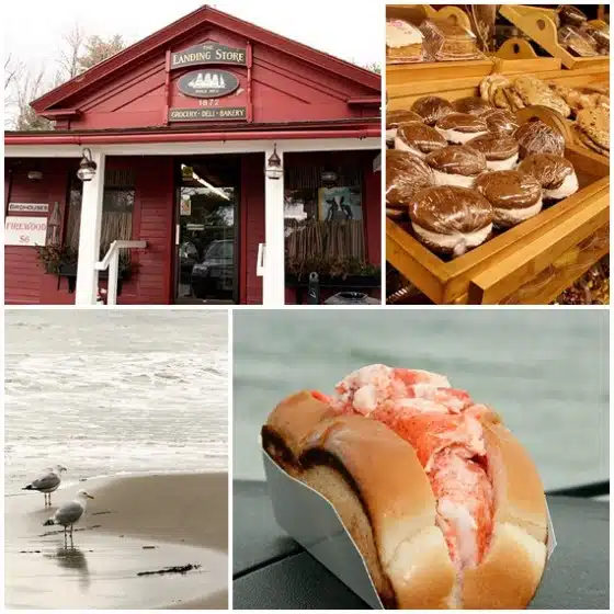 Collage showing a red storefront named "Landing Store," baked goods on trays, a seaside scene with seagulls, and a lobster roll in a cardboard tray.