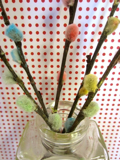 How to Color Pussy Willows  Easy Spring Craft Idea - New England