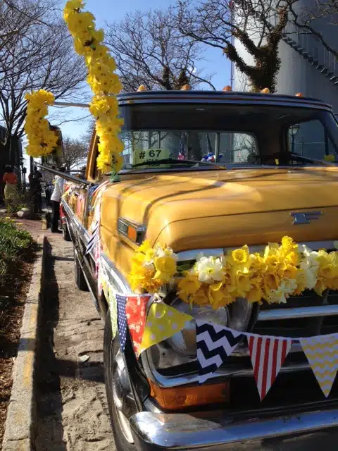 Nantucket Daffodil Festival