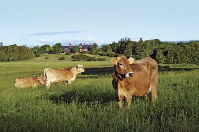 Shelburne Farms
