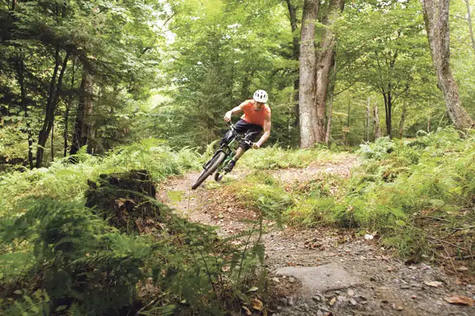 Best Mountain Biking