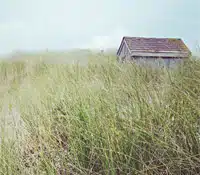 An old wooden shack partially hidden behind tall grass and dunes under a cloudy sky.